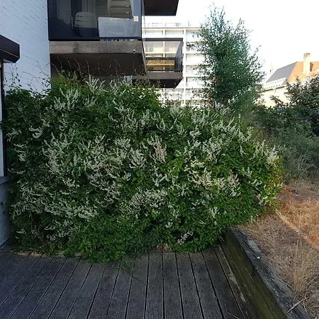 Ijslandplein 20gv1 Oostduinkerke